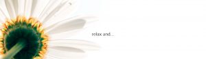 header pic 3